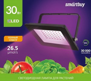 Smartbuy прожектор светод. FL ФИТО Smartbuy-30W/1300K/IP65 арт.SBL-FLFITO-30-65K	 оптом